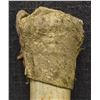 Image 7 : PLAINS BONE HIDE SCRAPPER