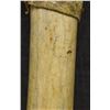 Image 8 : PLAINS BONE HIDE SCRAPPER