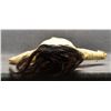 Image 11 : PLAINS HIDE DOLL