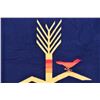 Image 11 : BEAVER STATE PENDLETON BLANKET