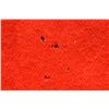 Image 17 : WHITNEY POINT  TRADE BLANKET