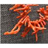 Image 6 : PUEBLO CORAL NECKLACE