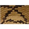 Image 12 : PAPAGO BASKETRY BOWL