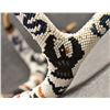 Image 11 : PLAINS BEADED ANTLERS