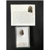 Image 1 : ENSTATITE METEORITE IN CASE NORTHWEST AFRICA