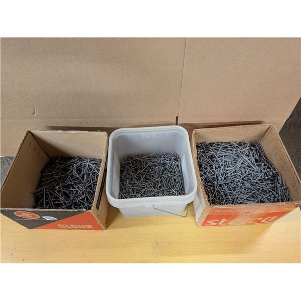 Box's and Pail Full of Coated Nails (Variety Sizes)