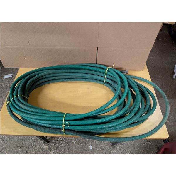 Garden Hose 100ft