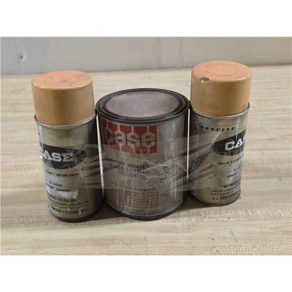 Spray paint and enamel gloss