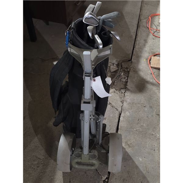 Golf Clubs and carrier