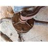 Image 3 : Older Rotary Barrel Pump