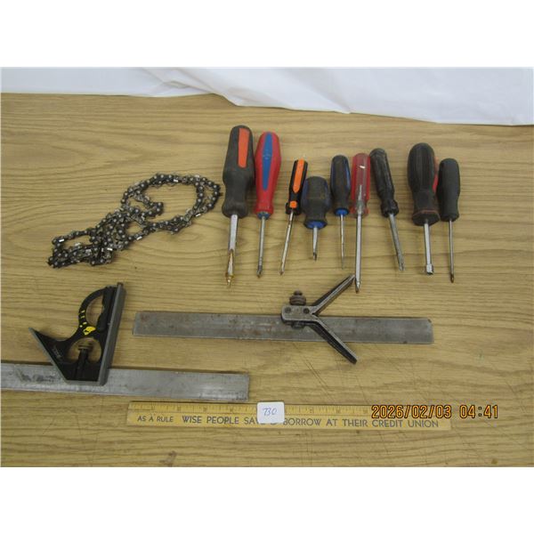 Lot of Screwdrivers ,Chainsaw Chain and 2 Sliding Squares