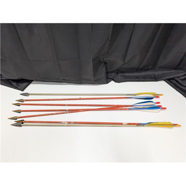 Bundle of (6) Arrows w/ Older Style Arrow head