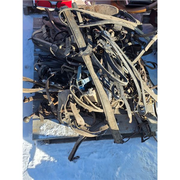 Pallet of horse harnesses and tackle