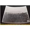 Image 1 : Pre 1900’s Photo - Wall of Buffalo Skulls, Regina SK