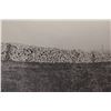 Image 2 : Pre 1900’s Photo - Wall of Buffalo Skulls, Regina SK