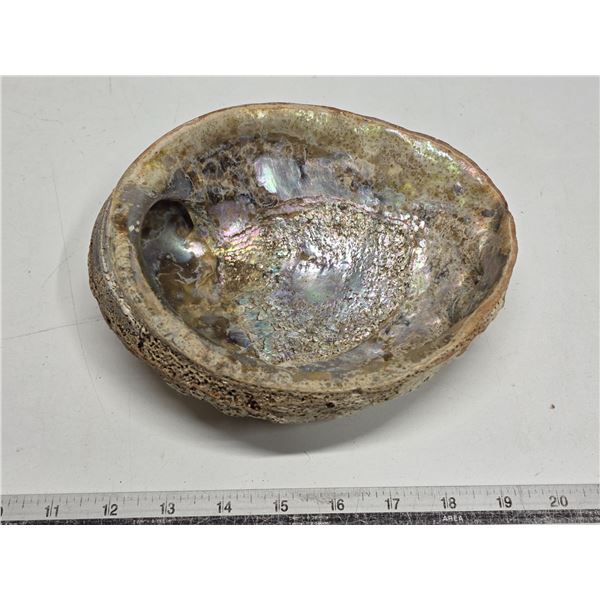 Seashell bowl
