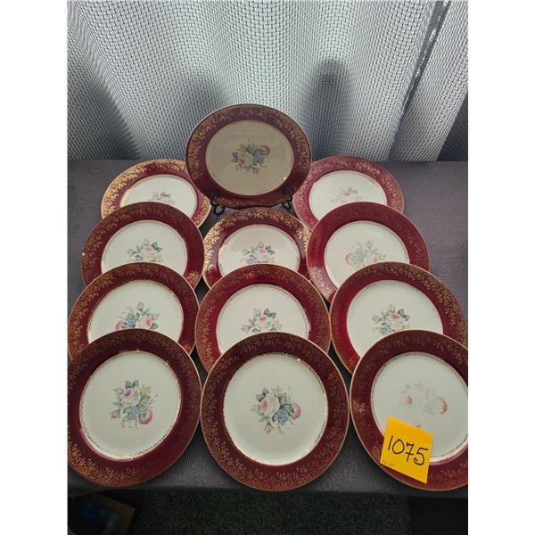Set of 12 Georgian China "Tudor Rose" Dinner Plates (pattern on some plates has faded)