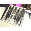 Image 6 : (16) Large Spoons, (10) Silver Plated Dinner Knives “CP Hotels”