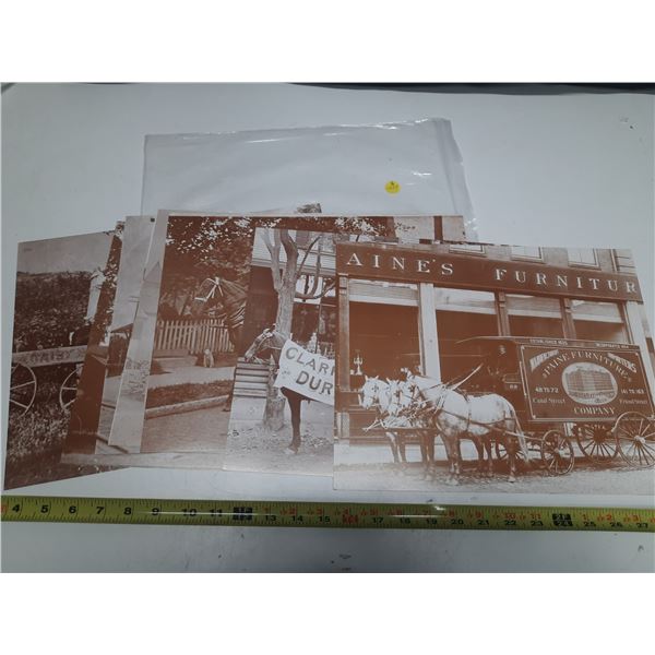 10-11x14" vintage copies of photos- printed on cardboard- horses