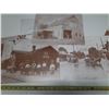 Image 3 : 10-11x14" vintage copies of photos- printed on cardboard- horses