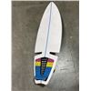 Image 2 : LANDYACHETS LONGBOARD AND RIPSURF BOARD