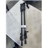 Image 5 : WHITECAPS STADIUM SEAT AND COLLAPSABLE WALKING POLES