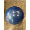 Image 2 : EXCERCISE BALL