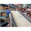 Image 2 : INCLINE CONVEYOR BELT SYSTEM, WORKING, ON ROLLING BASE, 166 INCH LONG, 20 INCH WIDE, PRI BAKERY EQUI