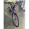 Image 2 : SUPERCYCLE NITROUS BIKE