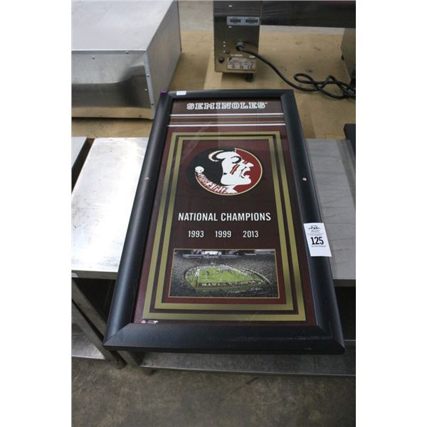 Seminole National Champions Framed Stadium Photo - 10"  X  2'
