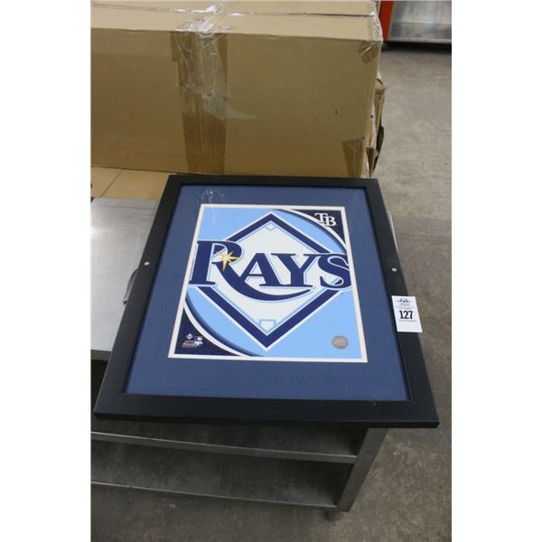 TB Rays Framed Poster - 2'  X  18"