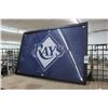 Image 1 : TB Rays Framed Banner