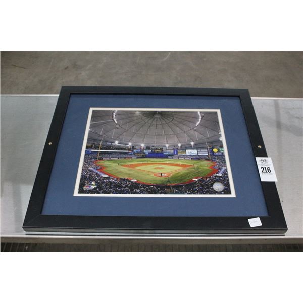 Tropicana Field Framed Photo