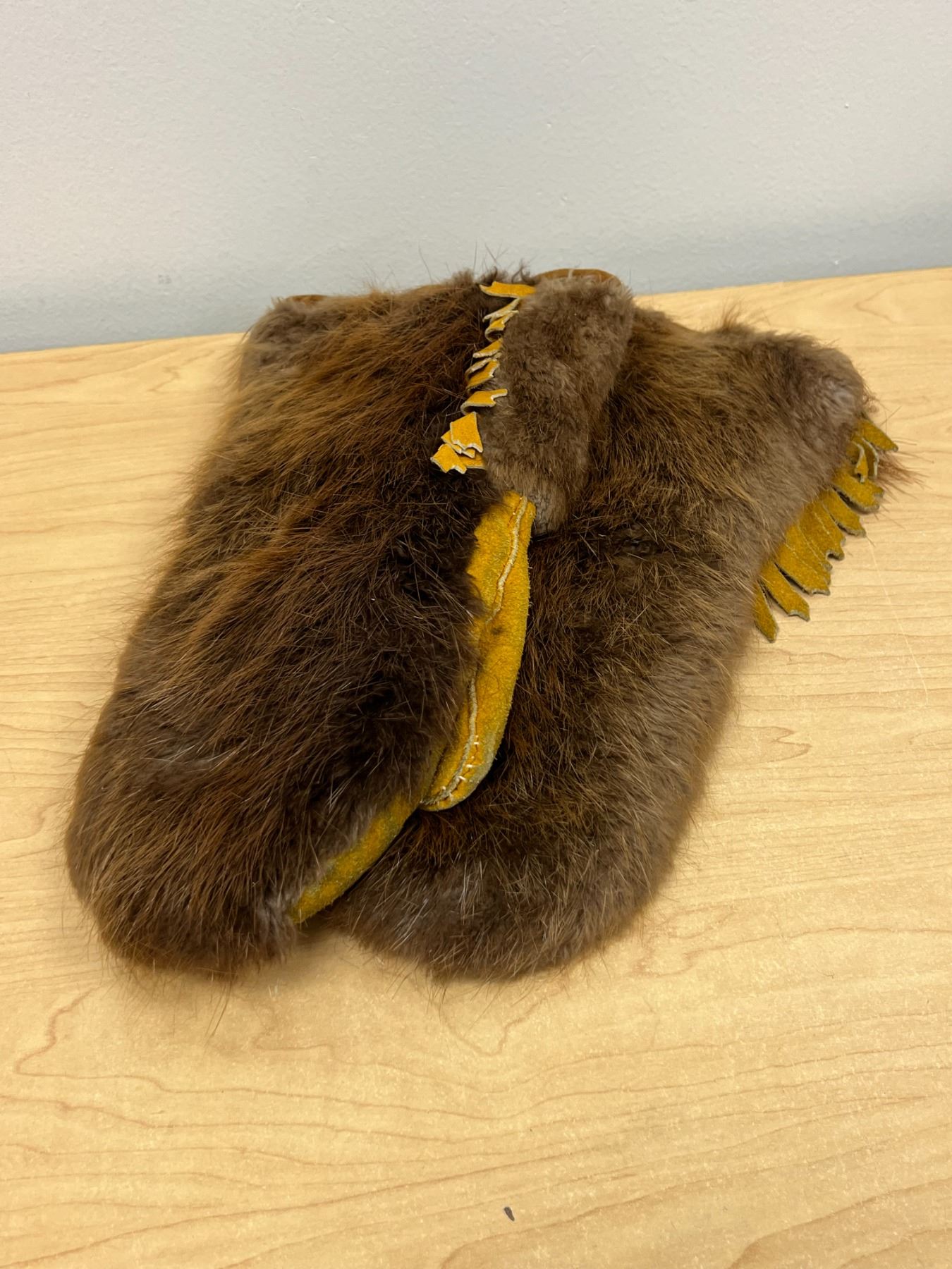 First Nations Fur / Hide 14