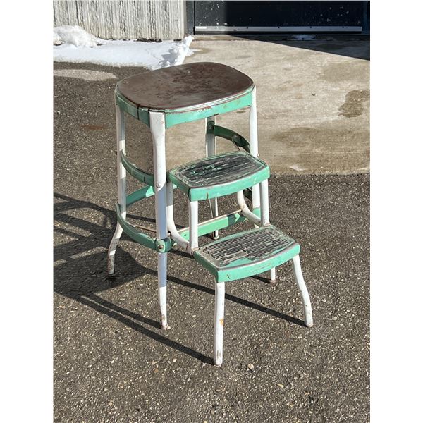 Rustic Fold Out Step Stool - or fun plant Stand