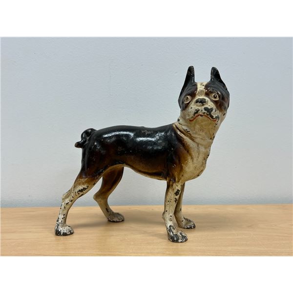 Amazing Antique Cast Iron Boston Terrier Figural Dog Coin Bank / Door Stop 9"W 10"T