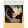 Image 1 : Bruce Cockburn - Stealing Fire LP Record