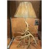 Image 1 : Whitetail Antler Lamp- IN ROOM ONLY