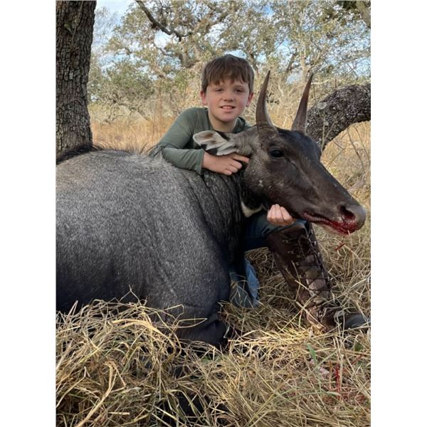 2 Hunters, 2 South Texas Nilgais Hunt- KING RANCH with TDA President