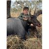Image 1 : 2 Hunters, 2 South Texas Nilgais Hunt- KING RANCH with TDA President