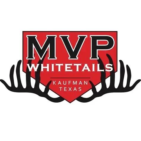 4 VIP Texas Rangers Baseball Tickets + Helicopter Transportation
