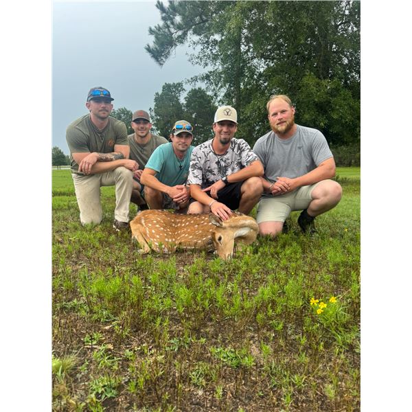 2 Axis Doe Harvests for 1 Hunter & 1 Observer