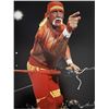 Image 1 : World Wrestling Federation Hulk Hogan signed photo