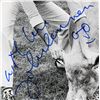 Image 2 : John Lennon signed insert photo