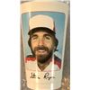 Image 1 : 1982 WENDY'S CUP - STEVE ROGERS