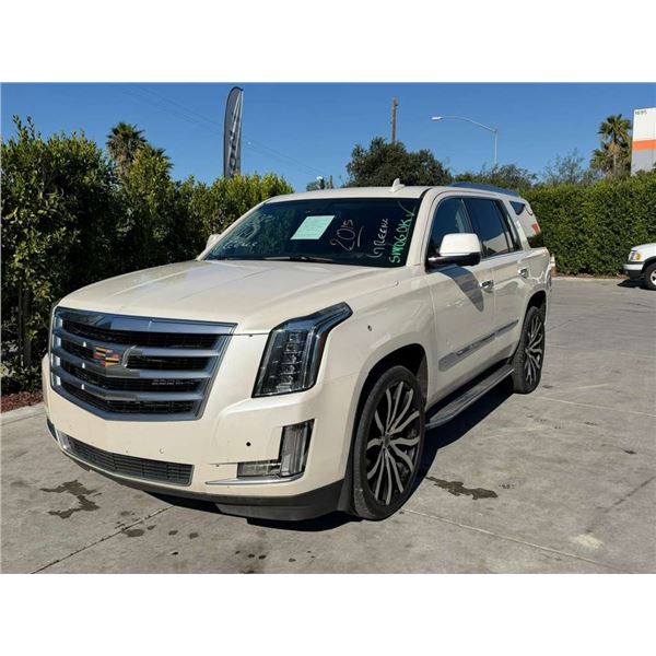 CADI ESCALADE 2015 T-REPO-SMOG-2 DAYS