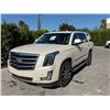Image 1 : CADI ESCALADE 2015 T-REPO-SMOG-2 DAYS