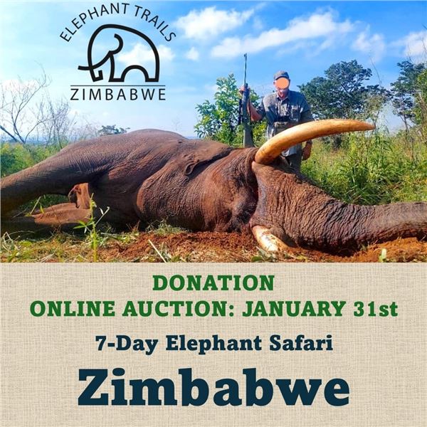 7-Day Elephant Safari in Zimbabwe