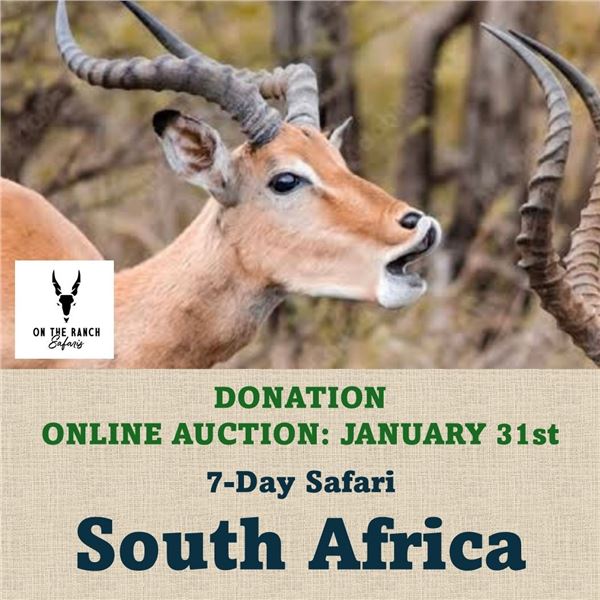 7-Day Safari in South Africa