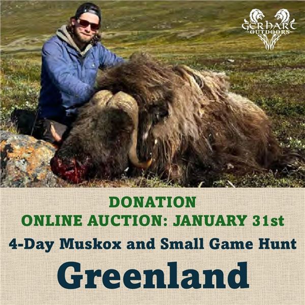 4-Day Spring Muskox & Small Game Hunt in Greenland